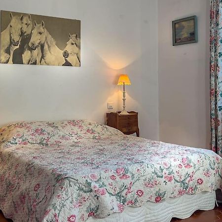 Mas De Charme En Pleine Camargue Villa Saint-Gilles  Luaran gambar