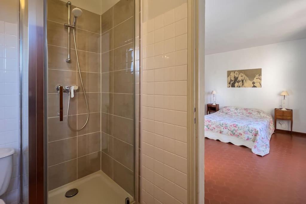 Mas De Charme En Pleine Camargue Villa Saint-Gilles  Luaran gambar