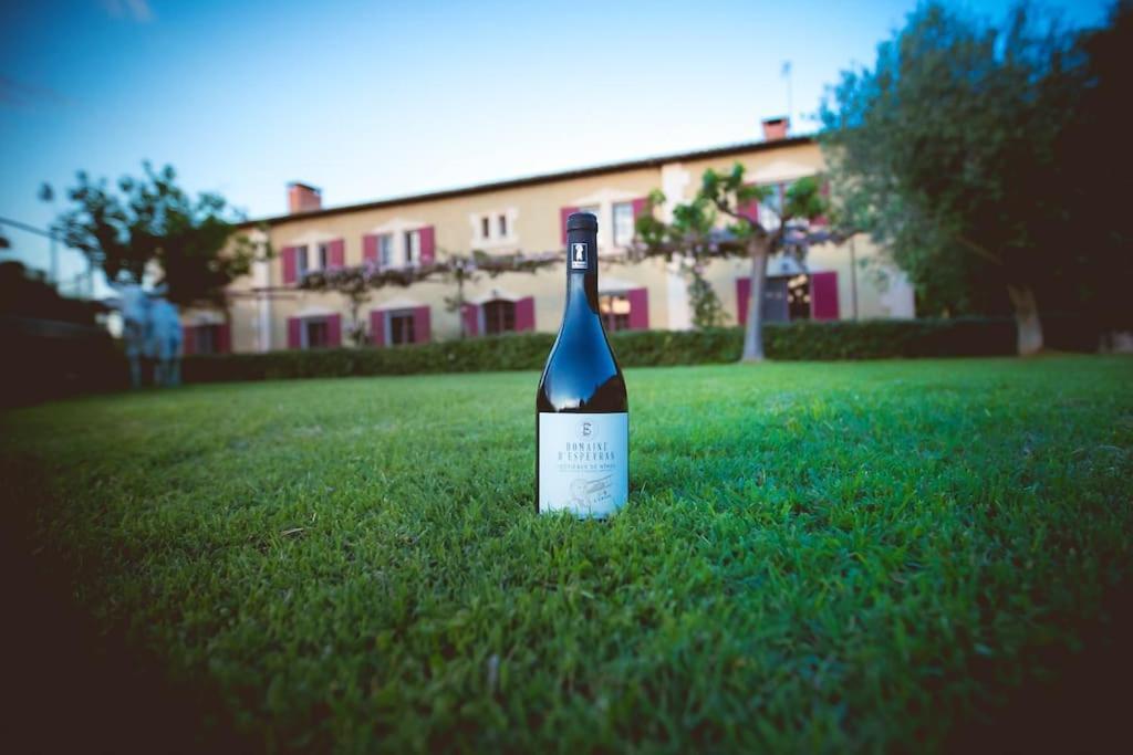 Mas De Charme En Pleine Camargue Villa Saint-Gilles  Luaran gambar