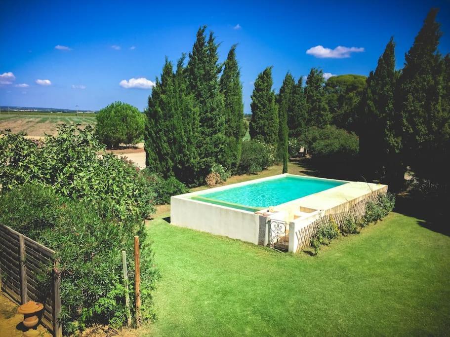 Mas De Charme En Pleine Camargue Villa Saint-Gilles  Luaran gambar